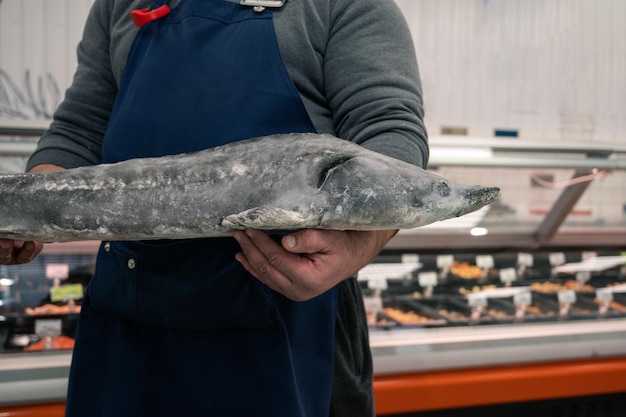 Poissonnier ou ouvrier du marché aux poissons tenant de gros poissons d'esturgeon