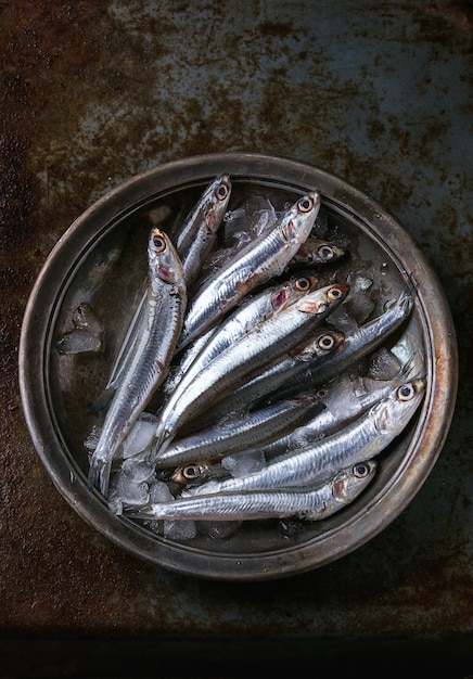 Poissons d'anchois frais crus