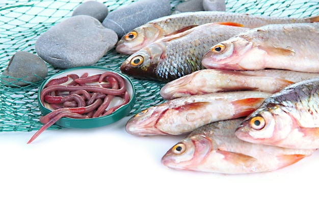 Poissons et filet isolés sur blanc