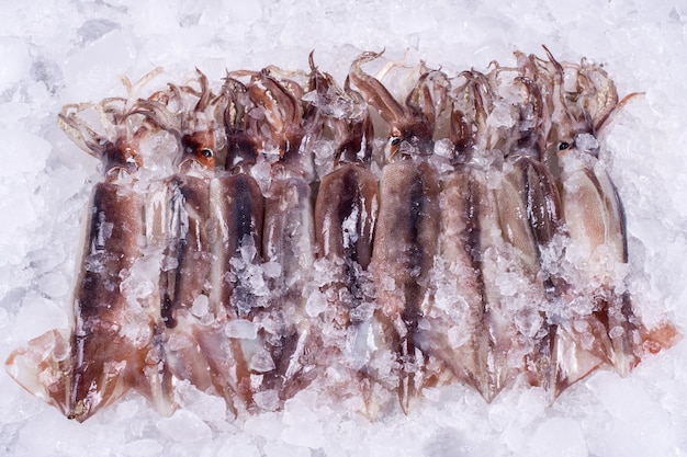 Poissons frais de l'océan sur la glace