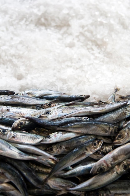 Poissons sur le marché avec espace copie vierge