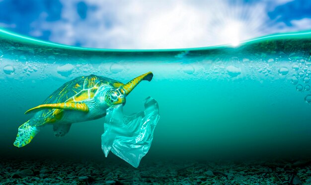 Photo poissons nageant dans la mer