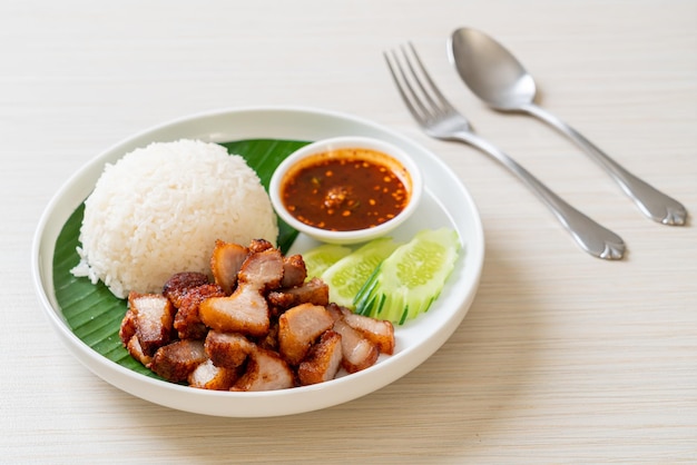 poitrine de porc frite avec du riz à la sauce épicée à l'asiatique