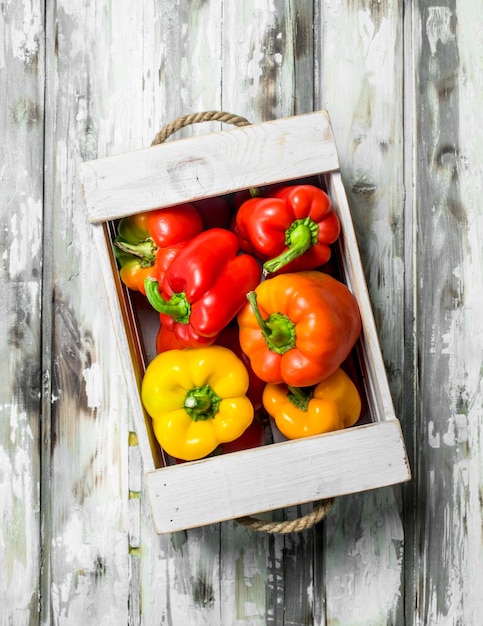 Photo poivre parfumé frais dans la boîte