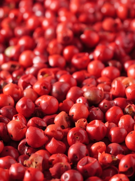 Poivre Rouge Brésilien Rose Ou Rose Schinus Terebinthifolius