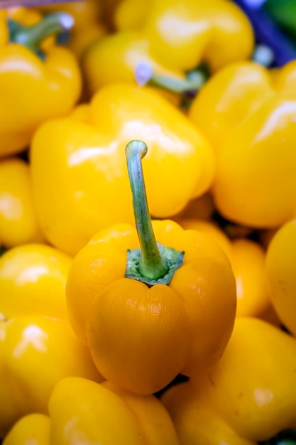 Poivron jaune Fruitier espagnol avec des produits de haute qualité