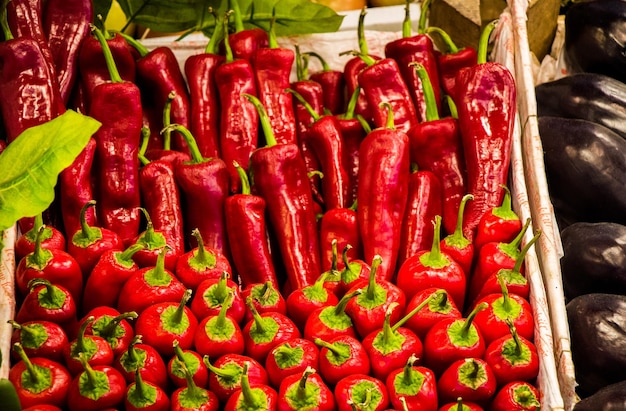 Poivron rouge trouvé sur le stand du marché