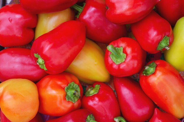 Photo poivrons colorés sur le comptoir du supermarché beaucoup de poivrons en tas fond naturel