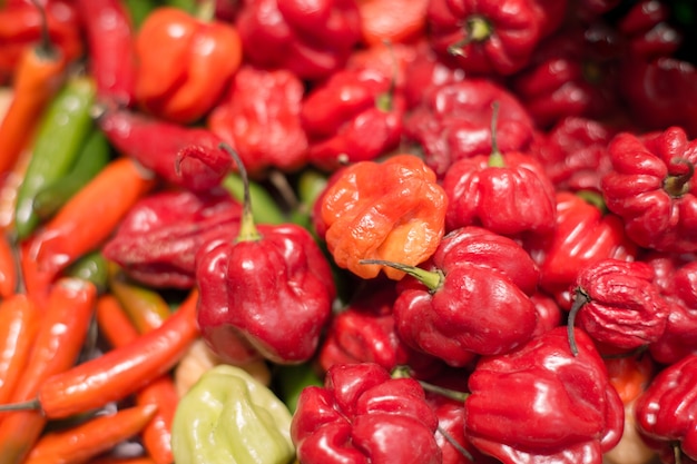 Poivrons sur un comptoir dans le supermarché. Un grand nombre de poivrons en pile