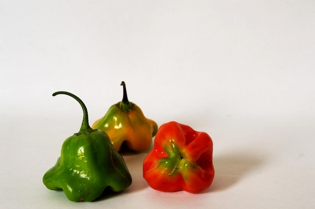 Poivrons de différentes couleurs sur fond blanc