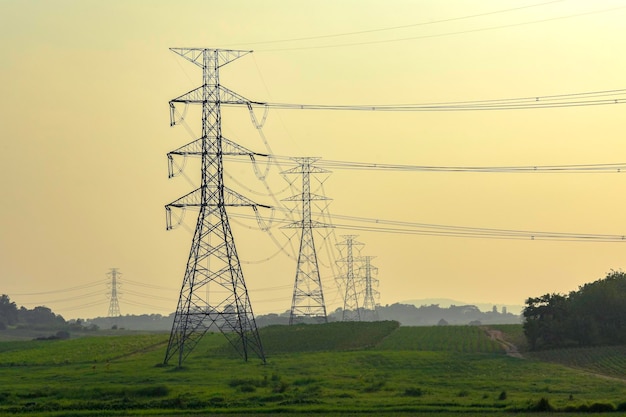 Photo pôle de distribution d'électricité à haute tension avec ombre d'arbres au coucher du soleil ligne de transmission de pylon d'alimentation électrique pour l'industrie de la technologie de génération d'énergie