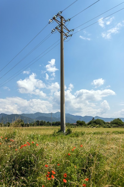 Pôle électrique