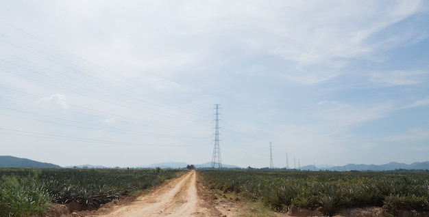 pôle haute tension