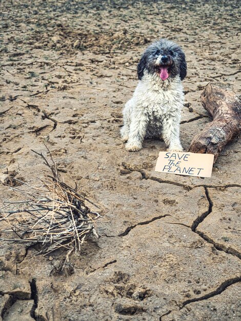 Pollution de conservation du changement climatique