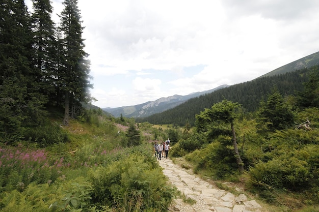 Pologne Tatras