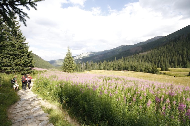 Pologne Tatras