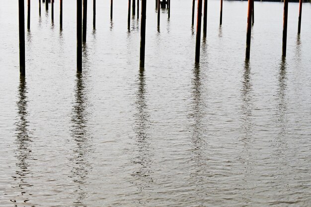 Photo les polonais en mer