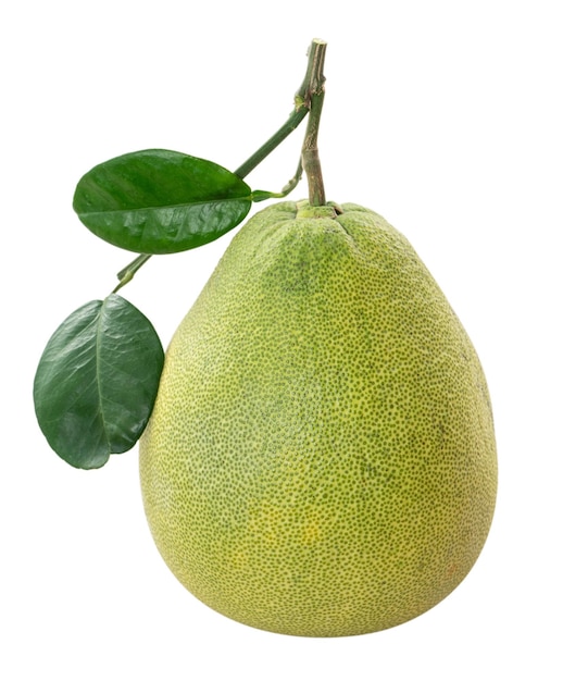 Pomelo frais isolé sur fond de tableau blanc