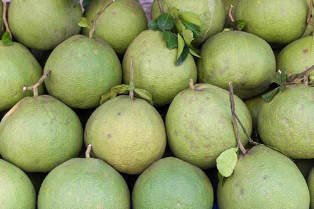 Photo pomelo ou pummelo