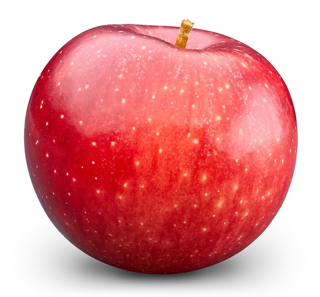 Pomme bio fraîche isolé chemin de détourage Apple macro studio photo Apple isolé