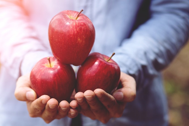 Pomme fraîche de la ferme.