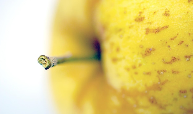 pomme jaune se concentre sur une tige peu profonde dofimage