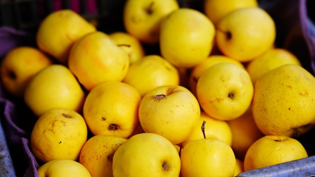 Pomme jaune Vue rapprochée de la pomme