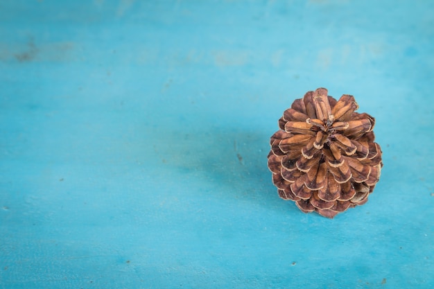 Photo pomme de pin sur fond de bois