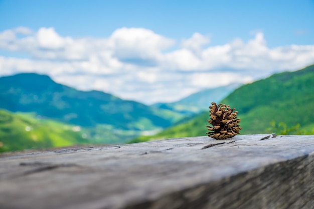 Une pomme de pin solitaire se trouve sur une bûche parmi les montagnes