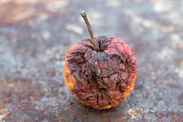 Pomme ridée pourrie sur une surface sombre