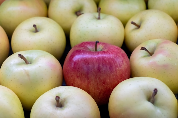 Pomme rouge fraîche et pommes jaunes