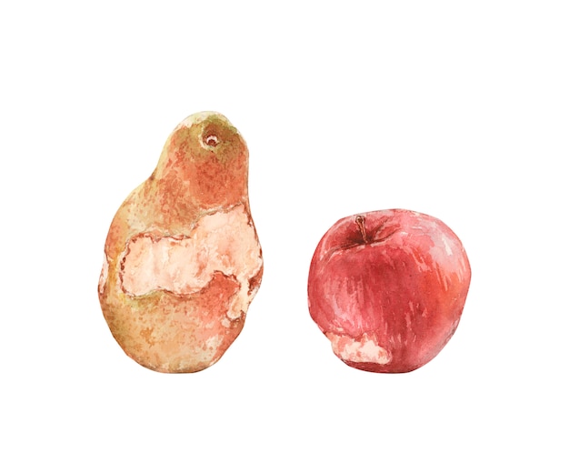 Pomme rouge et poire jaune mordues