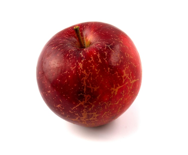 Pomme rouge recouverte de Venturia inaequalis isolé sur fond blanc