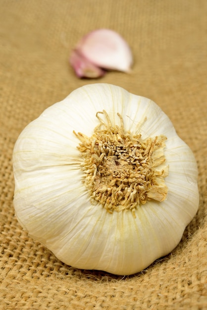 Pomme de terre à l&#39;ail sur le sac