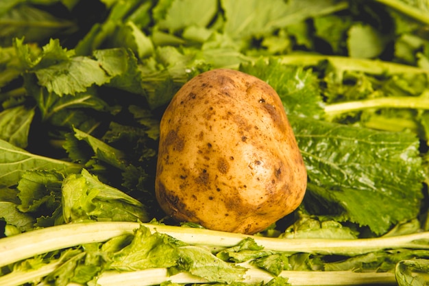 Pomme de terre galicienne entourée d'ingrédients verts de navet galicien typique