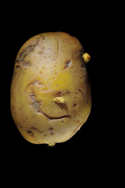 La pomme de terre racine sur fond noir ressemble à un visage