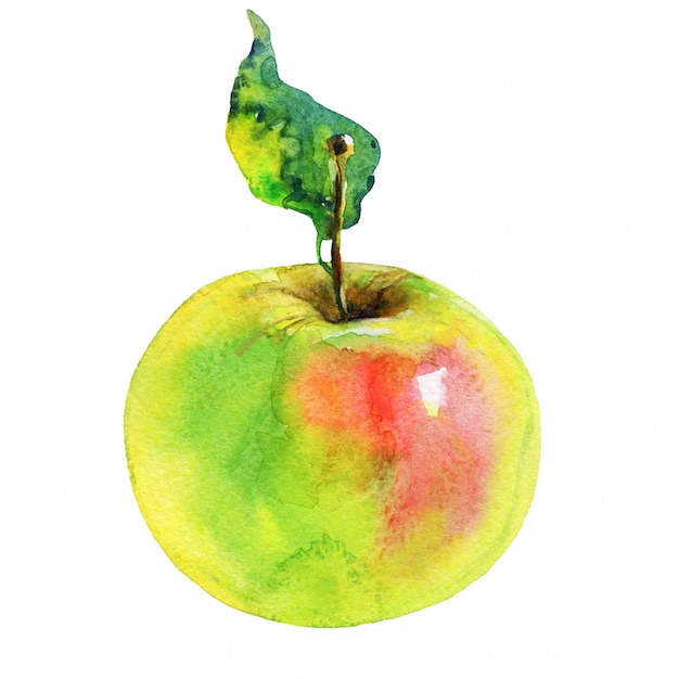 Photo pomme verte dessinée à la main. fruits frais aquarelle isolés. peinture illustration isolée