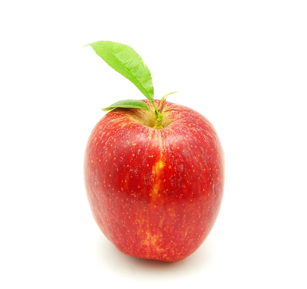 Pomme