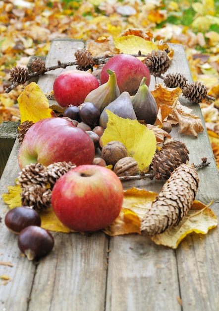 Pommes et autres fruits en automne