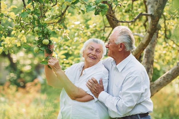 Avec des pommes Beau couple de personnes âgées est dans le jardin ensemble