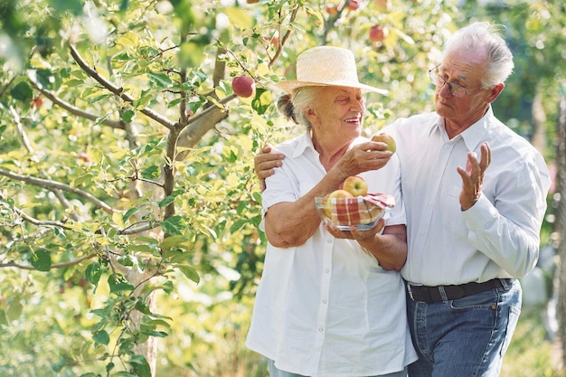 Avec des pommes Beau couple de personnes âgées est dans le jardin ensemble