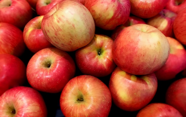 Pommes biologiques fraîches