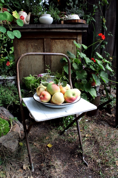 Pommes Sur Une Chaise Dans Le Jardin