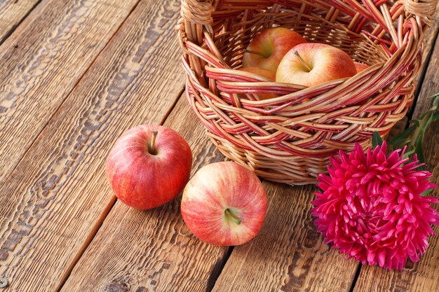 Pommes cueillies dans un panier en osier et fleur d'aster sur de vieilles planches de bois. Juste des fruits récoltés. Vue de dessus.