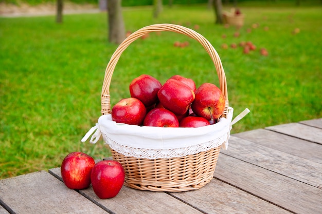 pommes dans un panier sur un champ d&#39;herbe