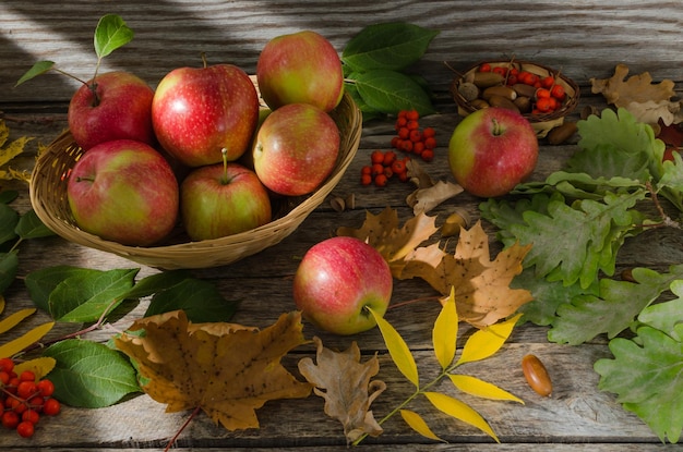 Pommes dans un panier en osier sur fond de feuilles d'automne et de vieilles planches sur la table