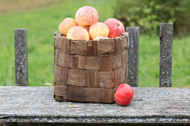 Pommes dans un panier en osier vieux rétro vintage style rustique été automne