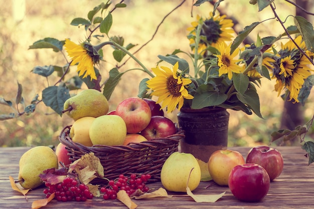 Pommes dans le panier