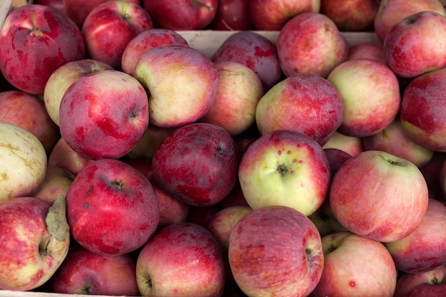 Pommes à la foire