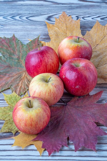 Pommes fraîches sur fond de feuilles d'érable fruits sur fond de bois antique